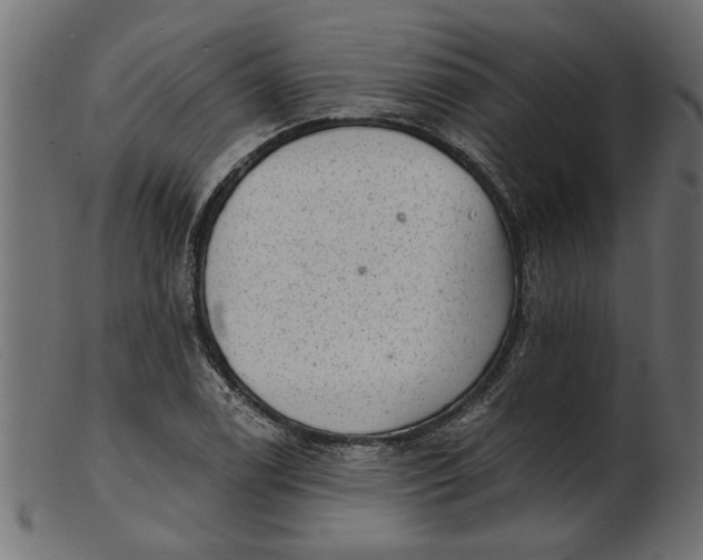 X0000103241122200809111550