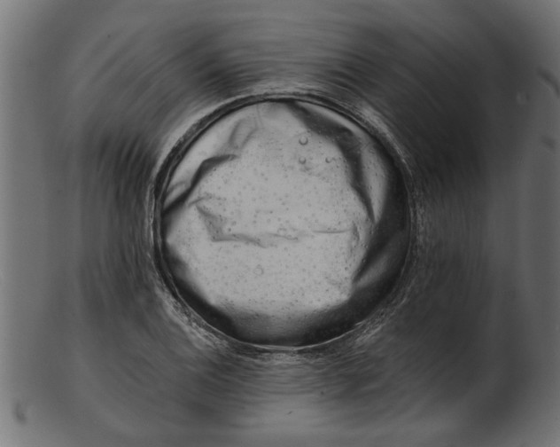 X0000103241124200809111550