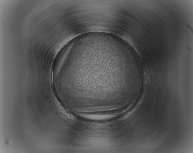 X0000103241125200809111550