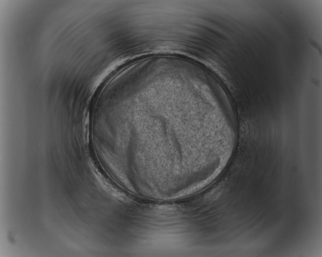 X0000103241126200809111550