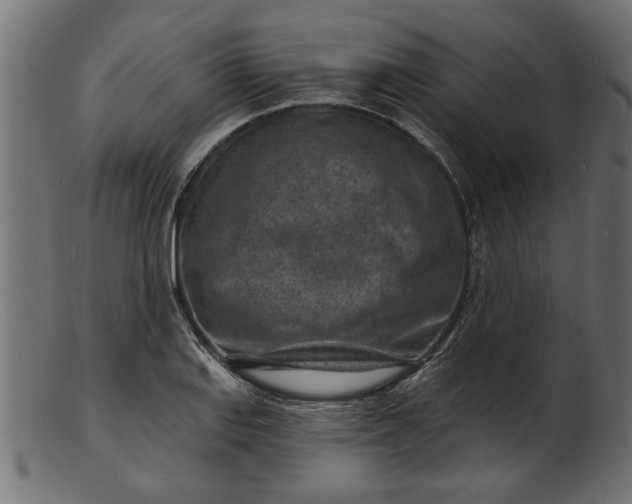 X0000103241127200809111550