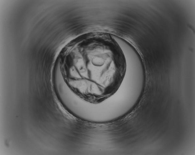 X0000103241128200809111550