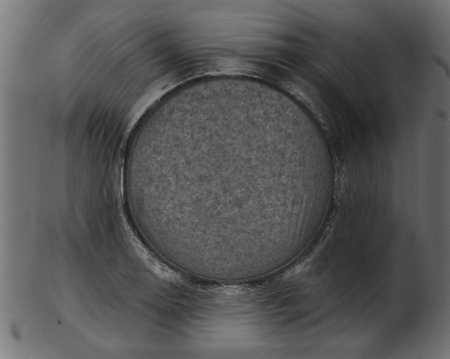 X0000103241130200809111550