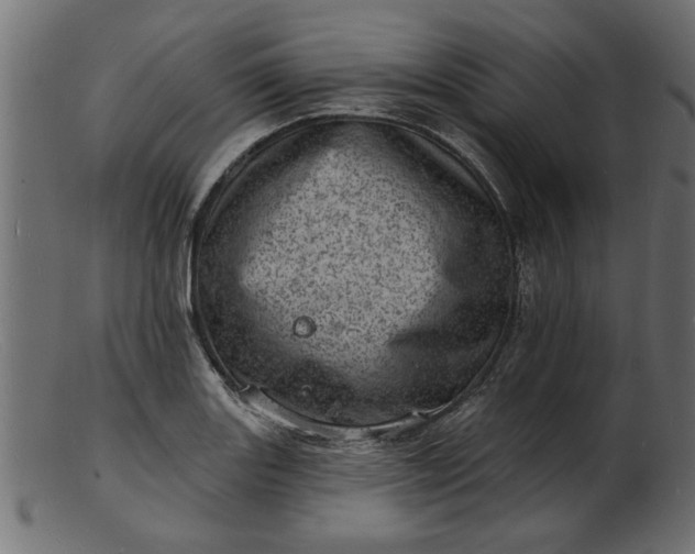 X0000103241131200809111550