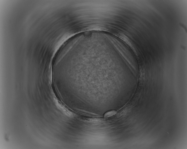 X0000103241132200809111550