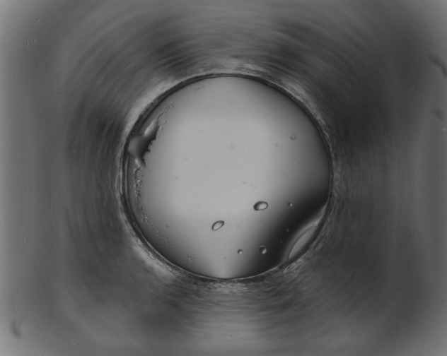 X0000103241136200809111550