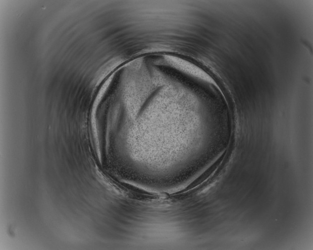 X0000103241137200809111550