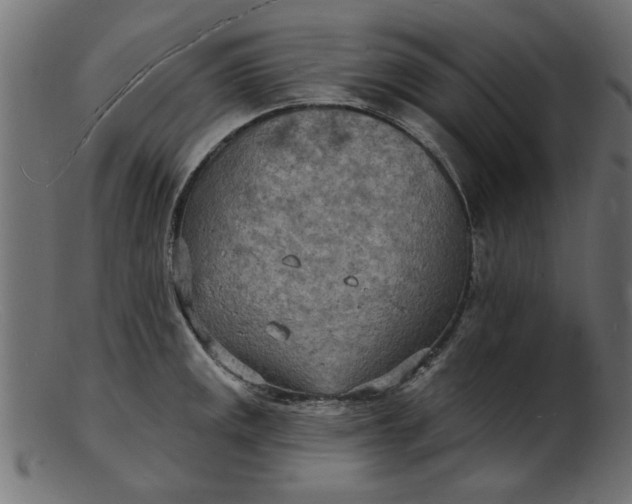 X0000103241141200809111550