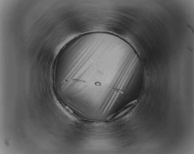 X0000103241142200809111550