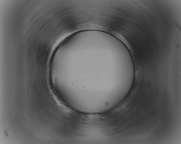 X0000103241144200809111550