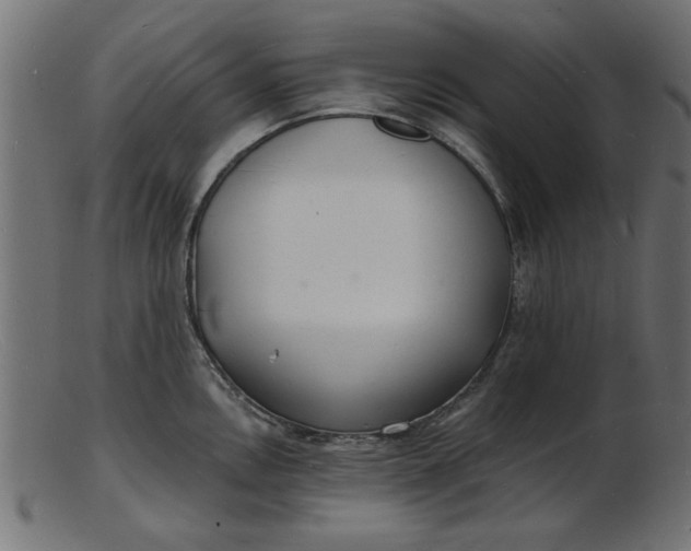 X0000103241146200809111551