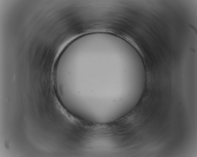 X0000103241148200809111551