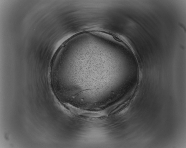 X0000103241149200809111551