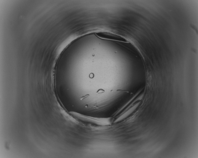 X0000103241151200809111551