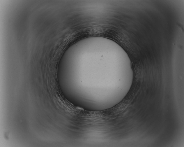 X0000103241153200809111550