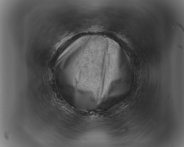 X0000103241160200809111550