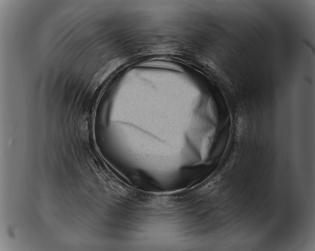 X0000103241162200809111550