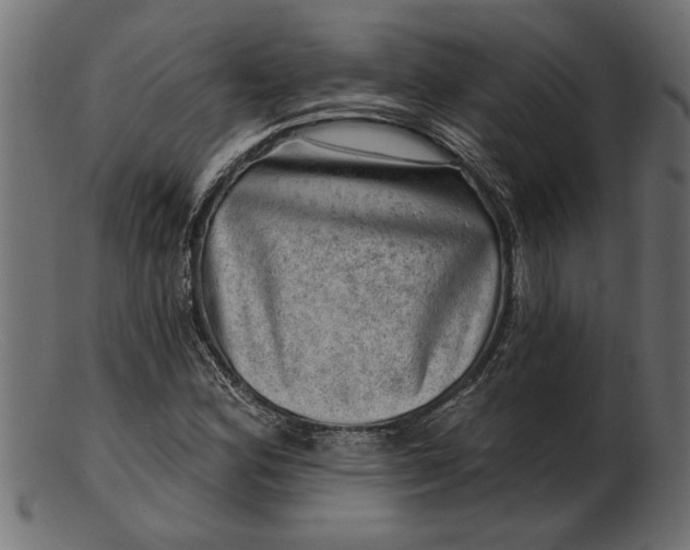 X0000103241164200809111550