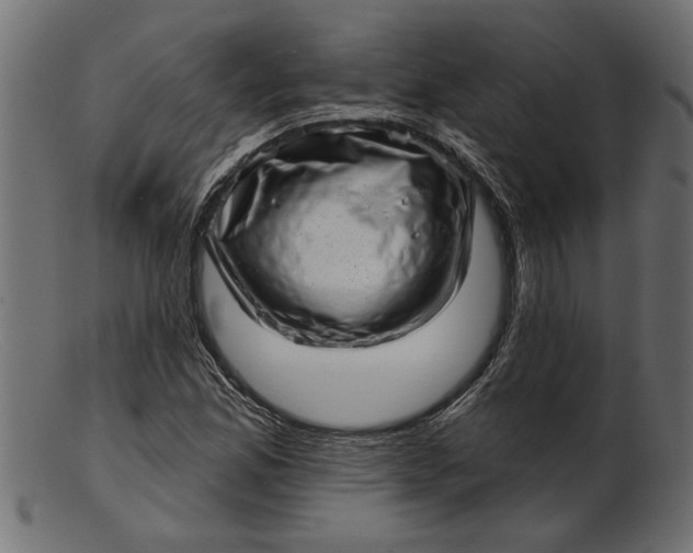 X0000103241165200809111550