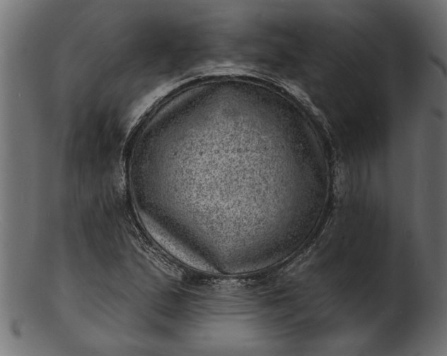 X0000103241167200809111550