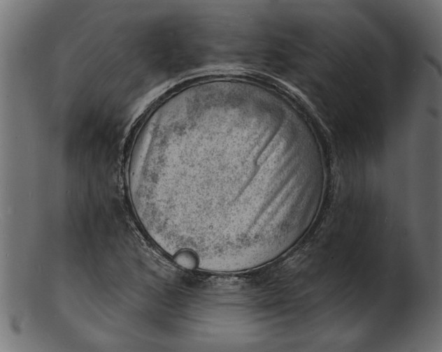 X0000103241168200809111550