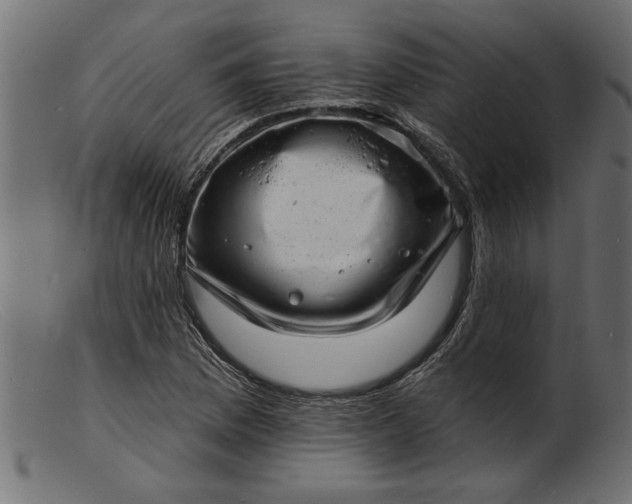 X0000103241169200809111550