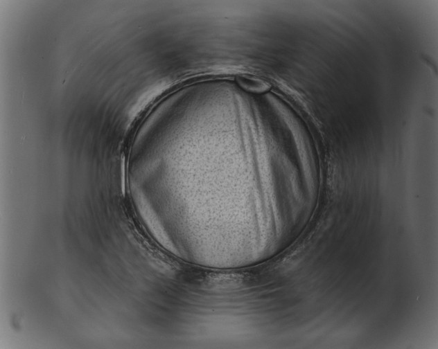 X0000103241171200809111550