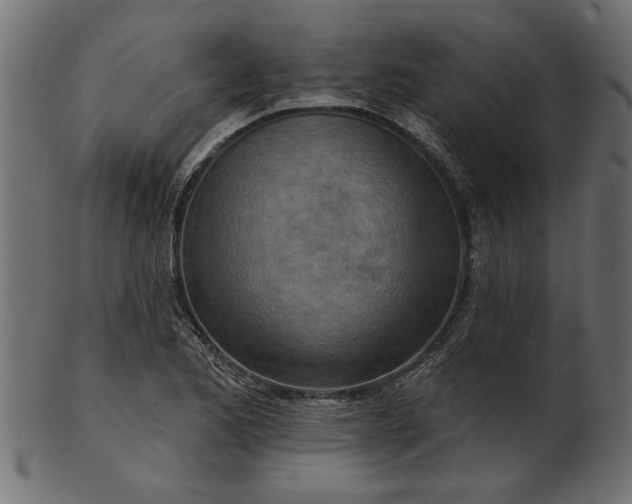 X0000103241173200809111550