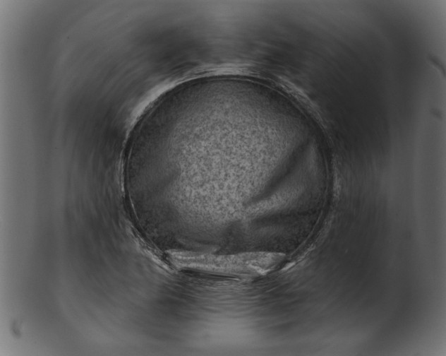 X0000103241174200809111550