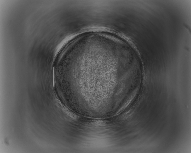 X0000103241175200809111550