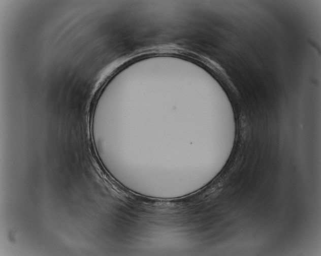 X0000103241176200809111550