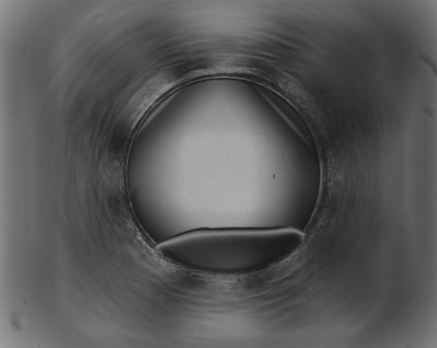 X0000103241177200809111550