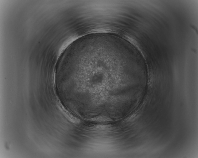 X0000103241179200809111550