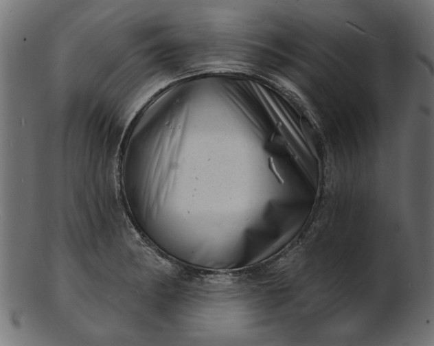 X0000103241182200809111550