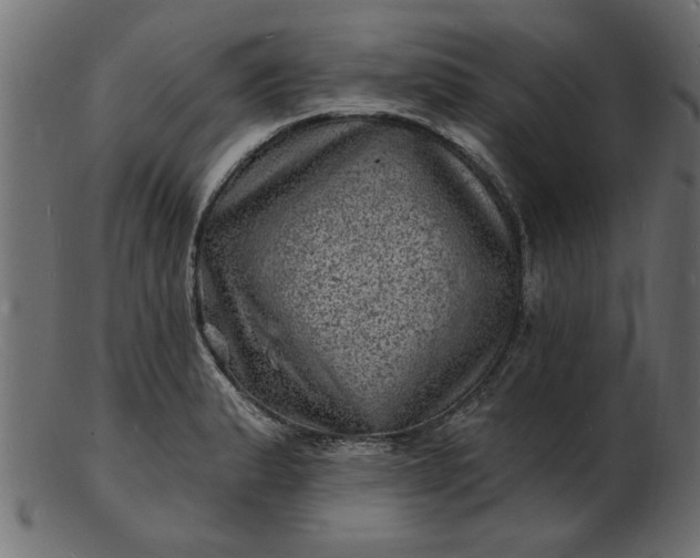 X0000103241183200809111550