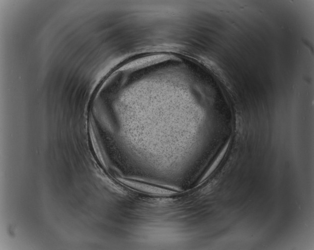 X0000103241184200809111550