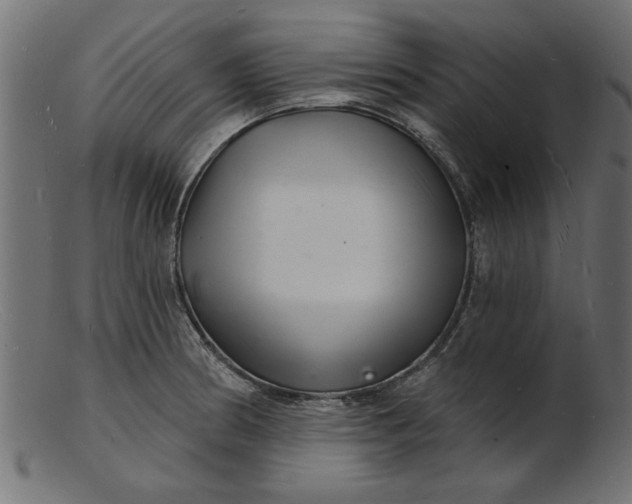 X0000103241186200809111549