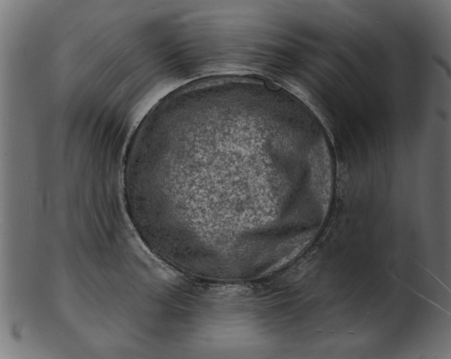 X0000103241187200809111549