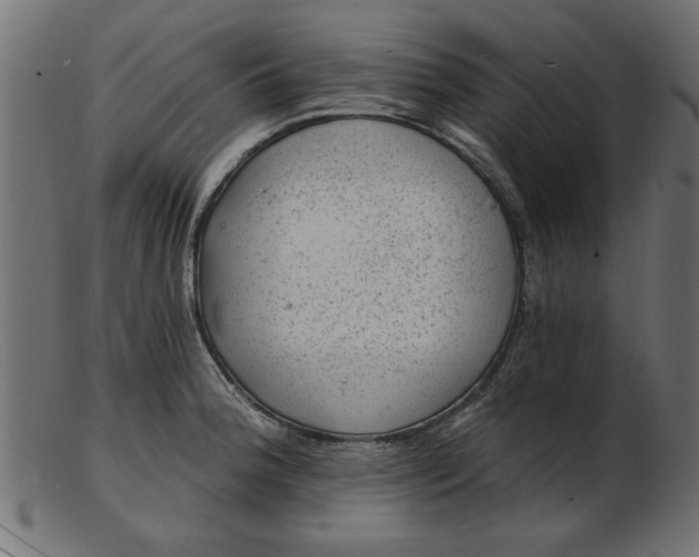 X0000103241188200809111549