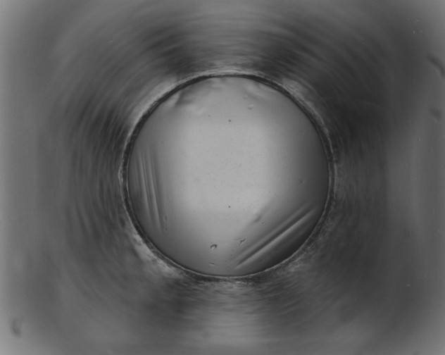 X0000103241189200809111549