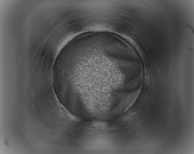 X0000103241191200809111549