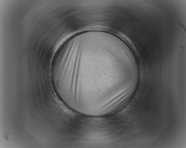 X0000103241192200809111549