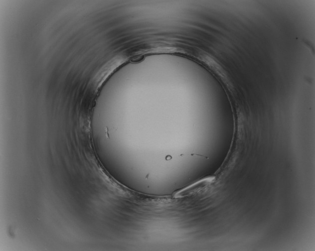 X0000103241193200809111549