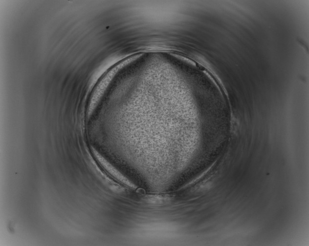 X0000103241195200809111549