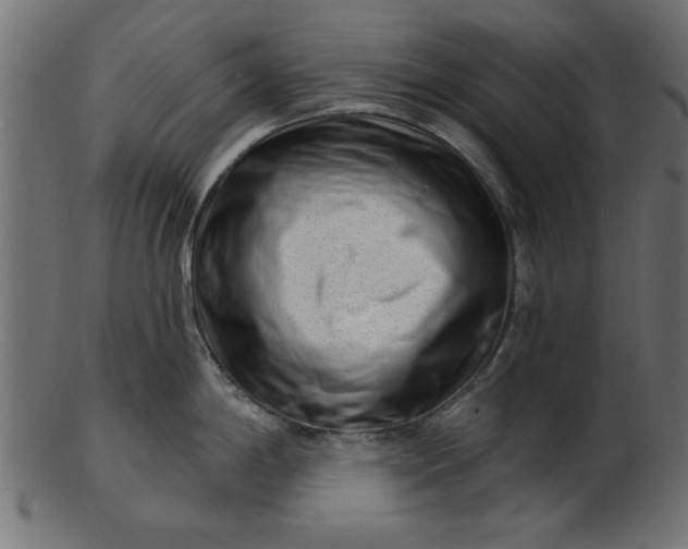 X0000103241198200809111549