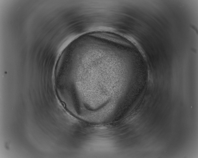 X0000103241199200809111549