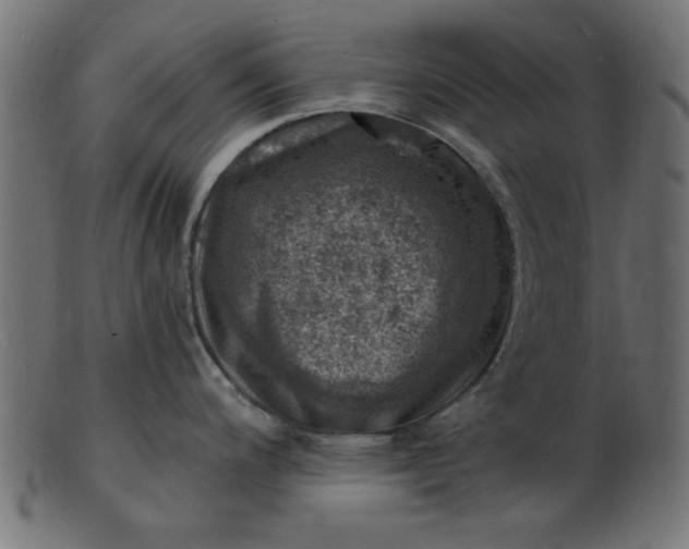 X0000103241200200809111549