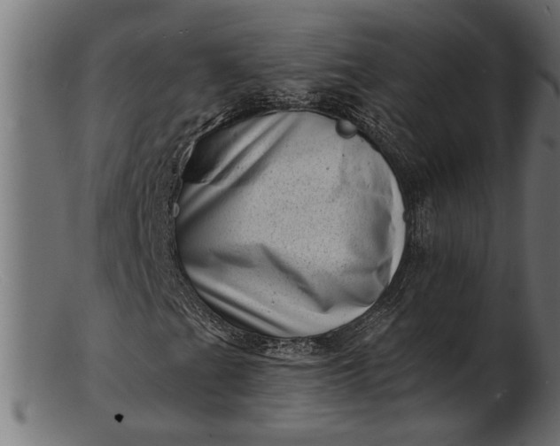 X0000103241201200809111549