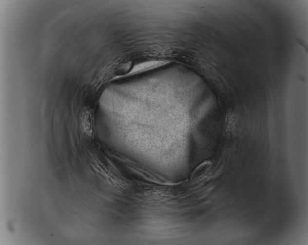 X0000103241202200809111549