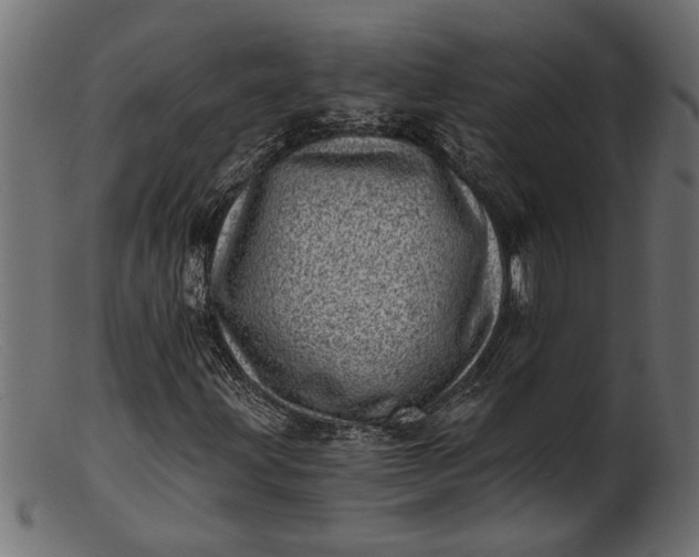 X0000103241203200809111549